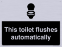 this-toilet-flushes-automatically~
